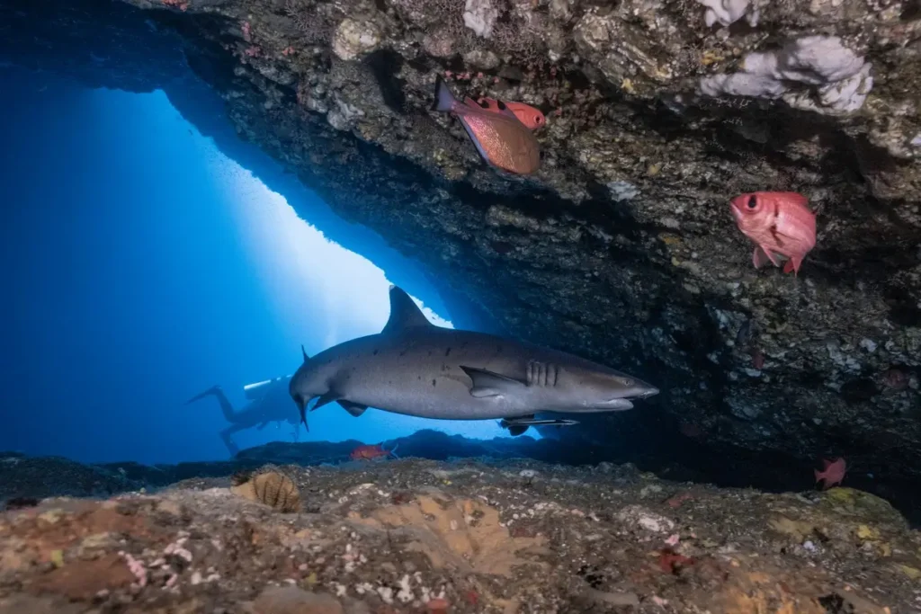 Blue Lagoon Dive Site
